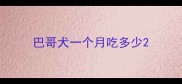 巴哥犬一个月吃多少