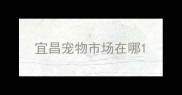 宜昌宠物市场在哪