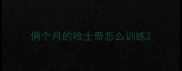 俩个月的哈士奇怎么训练