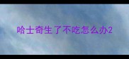 哈士奇生了不吃怎么办