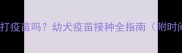 边境牧羊犬45天能打疫苗吗幼犬疫苗接种全指南附时间表与注意事项