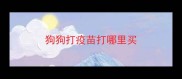 狗狗打疫苗打哪里买