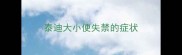 泰迪大小便失禁的症状