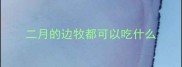 二月的边牧都可以吃什么