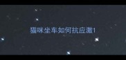 猫咪坐车如何抗应激