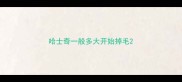 哈士奇一般多大开始掉毛