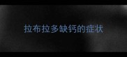 拉布拉多缺钙的症状