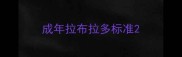 成年拉布拉多标准