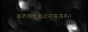 家养狗狗必须打疫苗吗