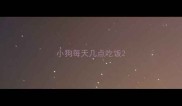 小狗每天几点吃饭