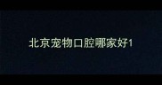 北京宠物口腔哪家好