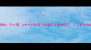 狗狗结扎后必看5大术后护理注意事项与常见误区主人必存指南