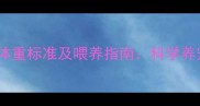 五个月虎斑猫体重标准及喂养指南科学养宠必备全攻略