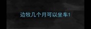 边牧几个月可以坐车