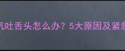 哈士奇喘气吐舌头怎么办5大原因及紧急处理方法