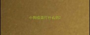 小狗疫苗打什么药