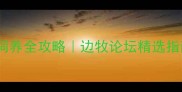 边境牧羊犬饲养全攻略边牧论坛精选指南附深度
