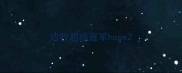 边牧超级冠军hope