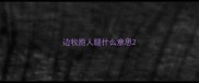边牧抱人腿什么意思