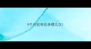 9个月拉布拉多喂几次