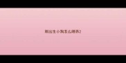 刚出生小狗怎么喂养