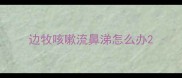 边牧咳嗽流鼻涕怎么办
