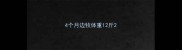 4个月边牧体重12斤