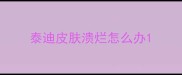 泰迪皮肤溃烂怎么办