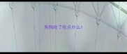 狗狗吐了吃点什么