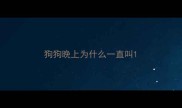 狗狗晚上为什么一直叫