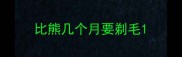 比熊几个月要剃毛