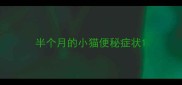 半个月的小猫便秘症状