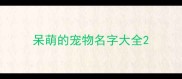 呆萌的宠物名字大全