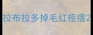 拉布拉多掉毛红疙瘩