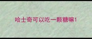 哈士奇可以吃一颗糖嘛