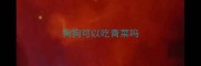狗狗可以吃青菜吗