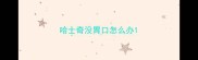 哈士奇没胃口怎么办