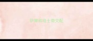 萨摩和哈士奇交配