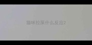猫咪拉屎什么反应