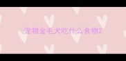宠物金毛犬吃什么食物