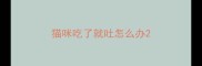 猫咪吃了就吐怎么办