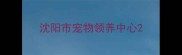 沈阳市宠物领养中心