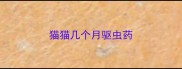 猫猫几个月驱虫药