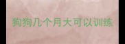 狗狗几个月大可以训练