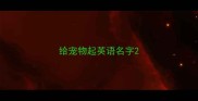 给宠物起英语名字