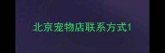 北京宠物店联系方式