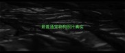最普通宠物狗照片真实