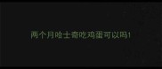 两个月哈士奇吃鸡蛋可以吗