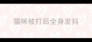 猫咪被打后全身发抖