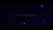 一只拉布拉多能活多久